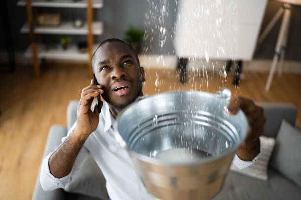 Best Flooded house restoration  in East Douglas, MA