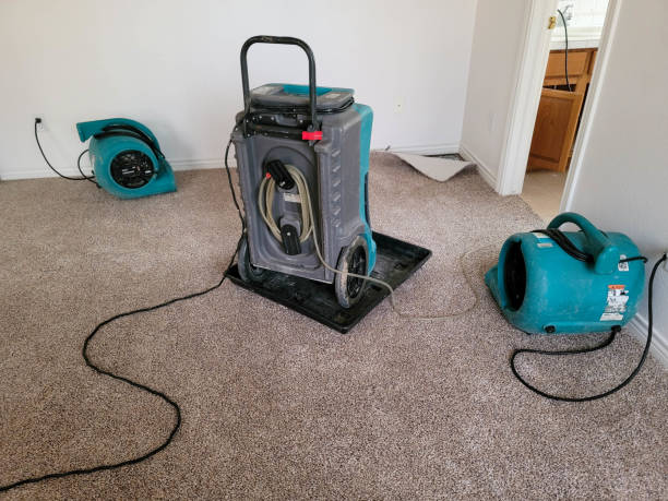 Best Flood restoration services  in East Douglas, MA