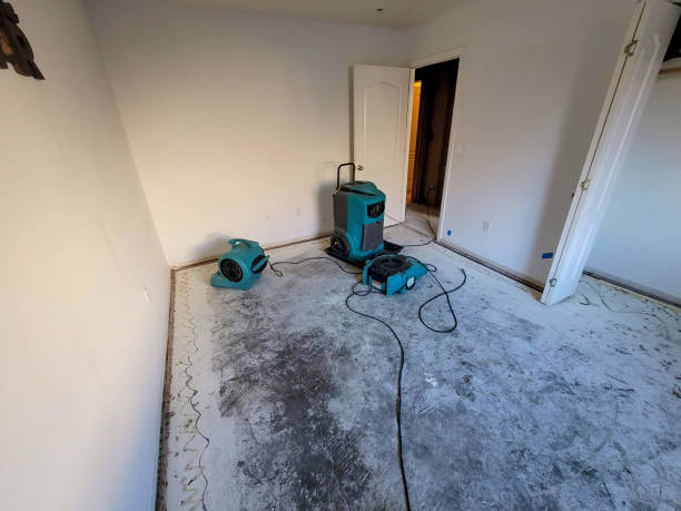 Best Water damage cleanup near me  in East Douglas, MA