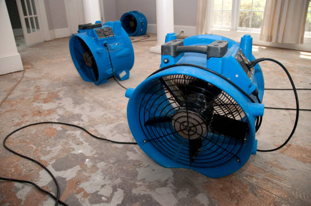 Best Local water damage restoration  in East Douglas, MA