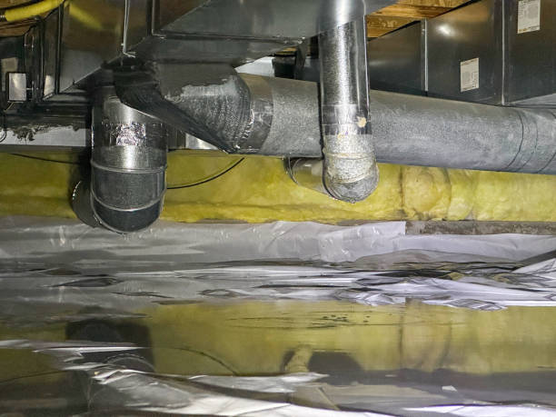 Best Basement water damage restoration  in East Douglas, MA