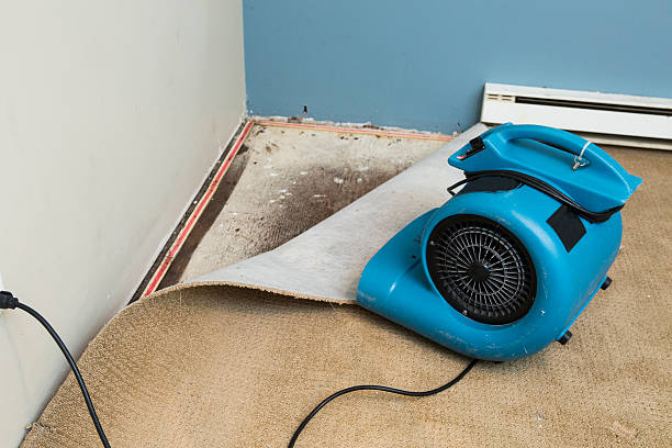  East Douglas, MA Water damage restoration Pros